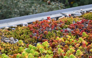the cost of Duthil green roof installation