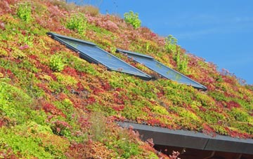 Duthil living roof systems