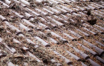 Duthil roof cleaning companies