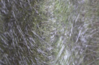 Duthil fibreglass roof work